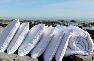 endlessbay將采購(gòu)中國(guó)優(yōu)質(zhì)原材料正式納入采購(gòu)戰(zhàn)略